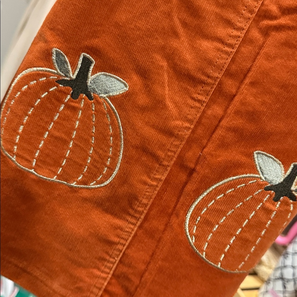 NWT Isaac Mizrahi NY 3T Girls Fall Outfit Dress Overalls Long Sleeve Hair Clips - Picture 2 of 5